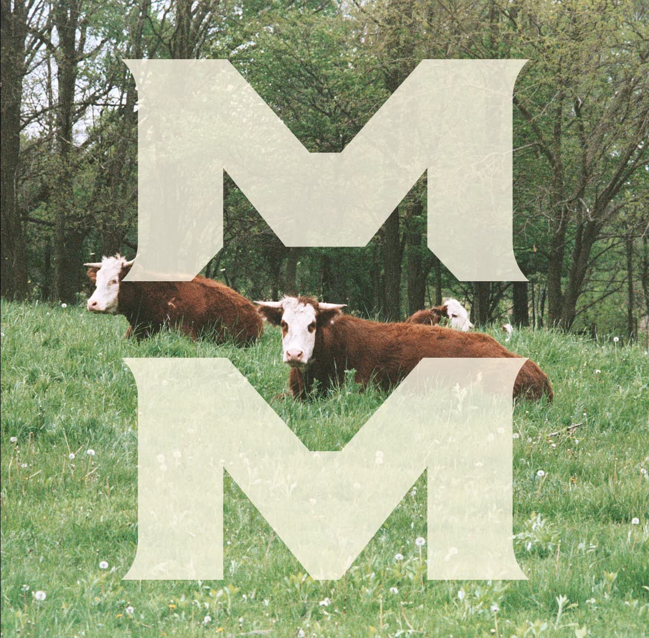 Mason's Meats image